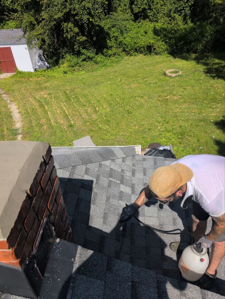 Technician clean chimney and its important components